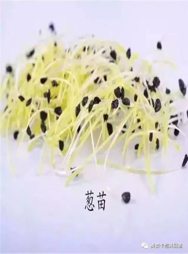 47种最常用的摆盘花草,拯救你的摆盘画风!做厨师的一定要知道!