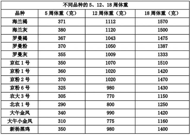 表5:罗曼褐和海兰褐的周增重曲线对比