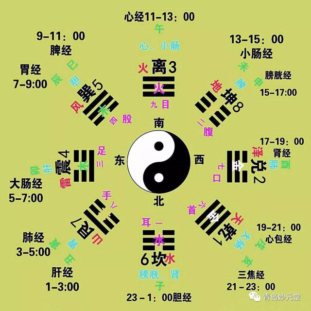 特赠成人项目:八卦五行针