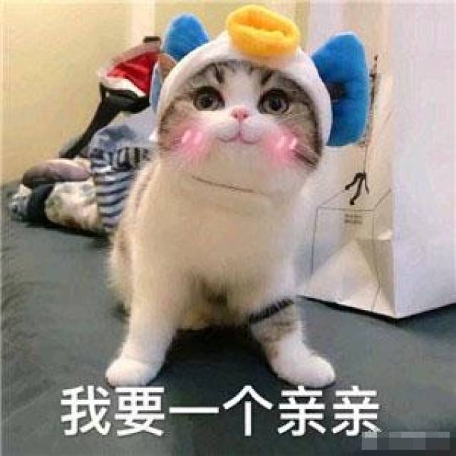 我要一个抱抱