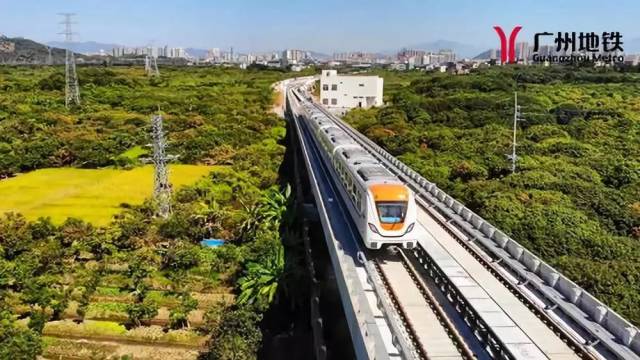 健康之路全集完整版2025年 8606687233c24709aa4ae2c019654b0d.jpeg