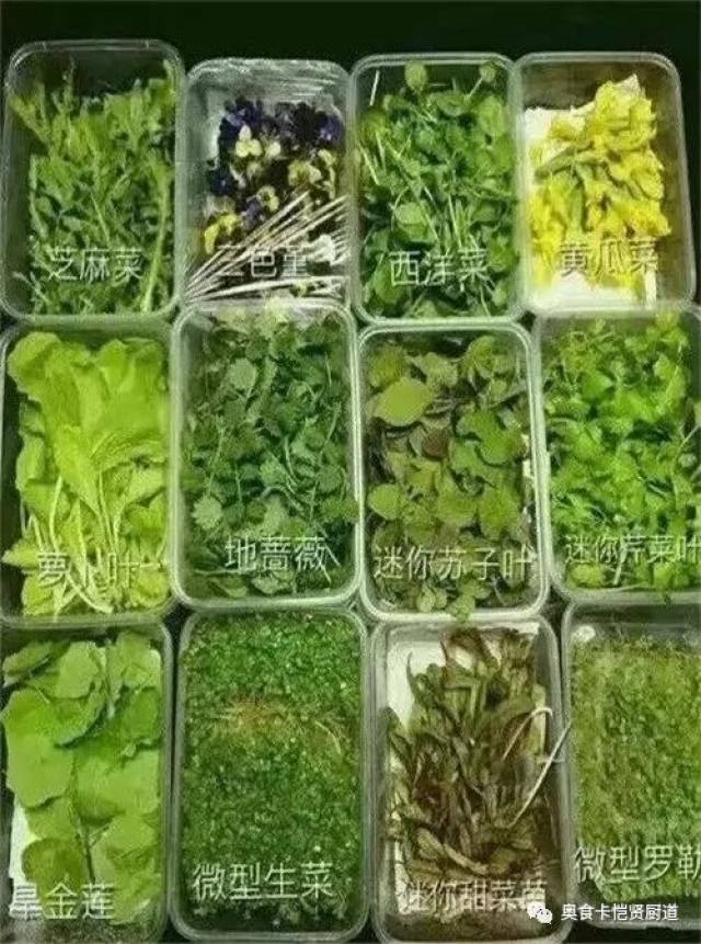 47种最常用的摆盘花草,拯救你的摆盘画风!做厨师的一定要知道!