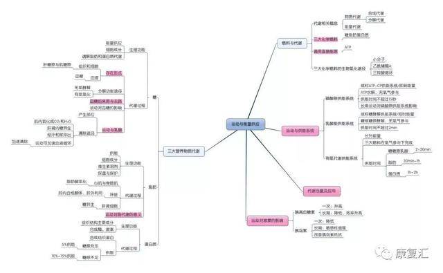 「一文读懂」康复基础知识思维导图大汇总,轻松好记!