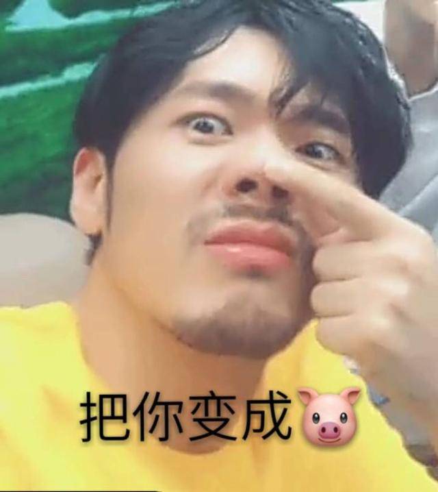表情包:有没有想我啊,你不想我,就是猪