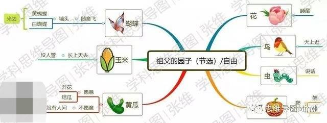 一张图,和你一起高效学习现代文之《祖父的园子》(节选)