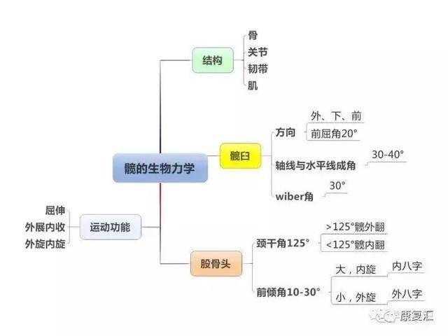 「一文读懂」康复基础知识思维导图大汇总,轻松好记!