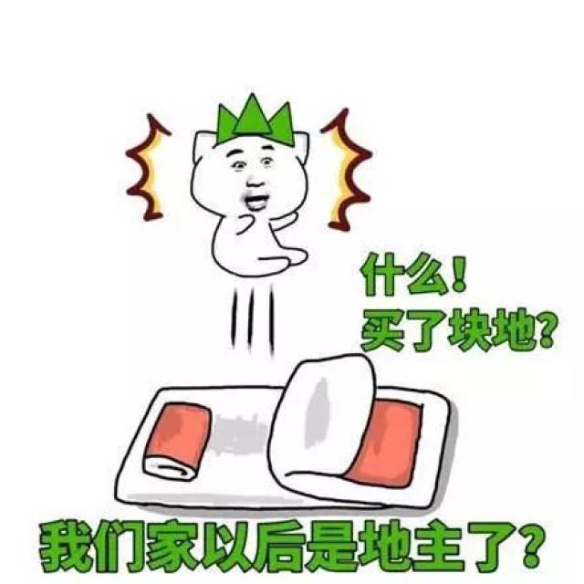 搞笑表情包:什么!买了块地?我们家以后是地主了?