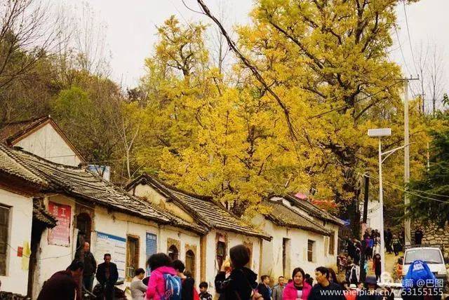 云岩寺位于河南洛阳嵩县白河乡下寺村,整个区域分上,下寺两部分,面积
