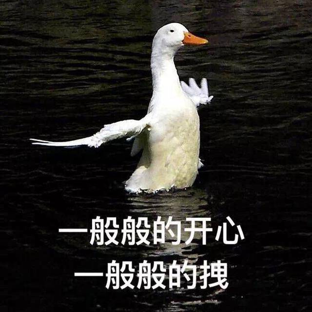 一般般的开心,一般般的拽