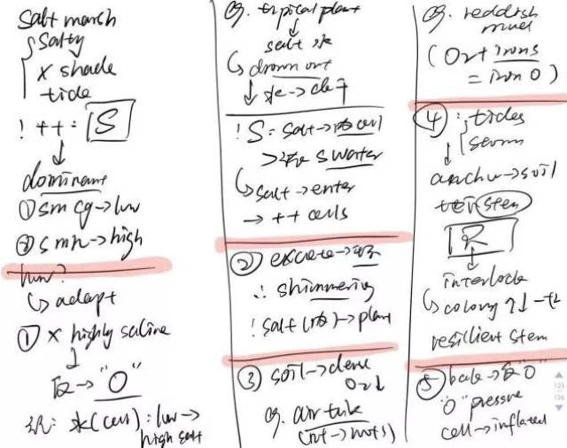 托福听力高分解析 | 到底如何记笔记