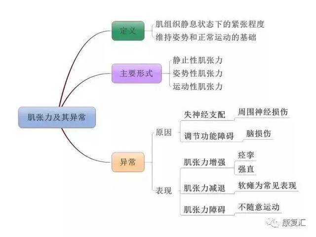 「一文读懂」康复基础知识思维导图大汇总,轻松好记!