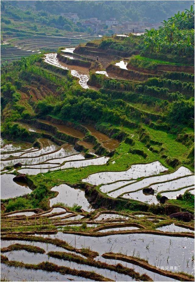 这么一个美丽的地方,那里山清水秀,地势奇特,层层叠叠,这就是洋岭梯田