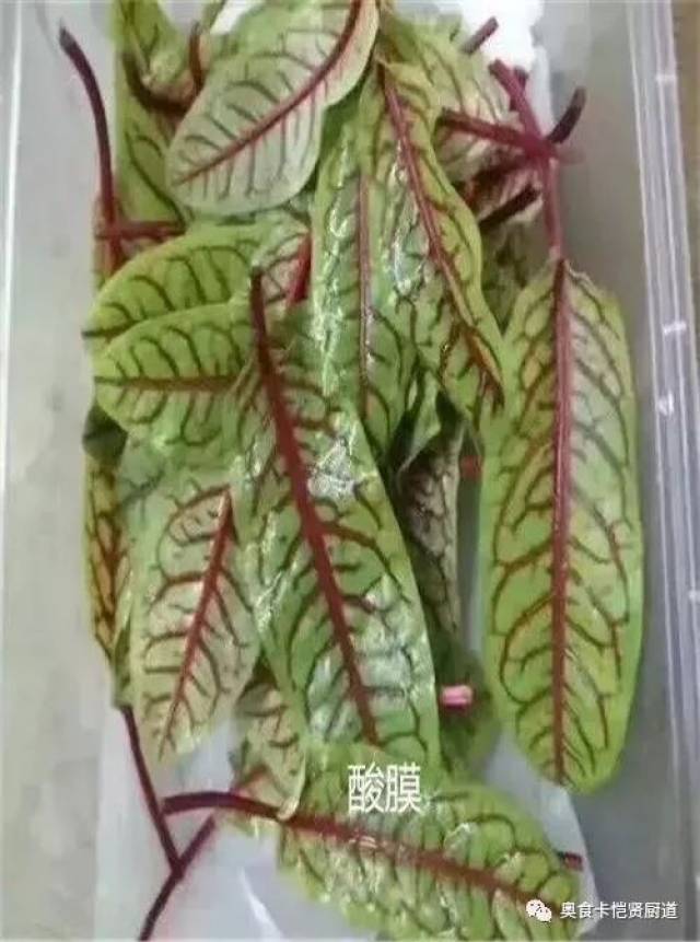 47种最常用的摆盘花草,拯救你的摆盘画风!做厨师的一定要知道!