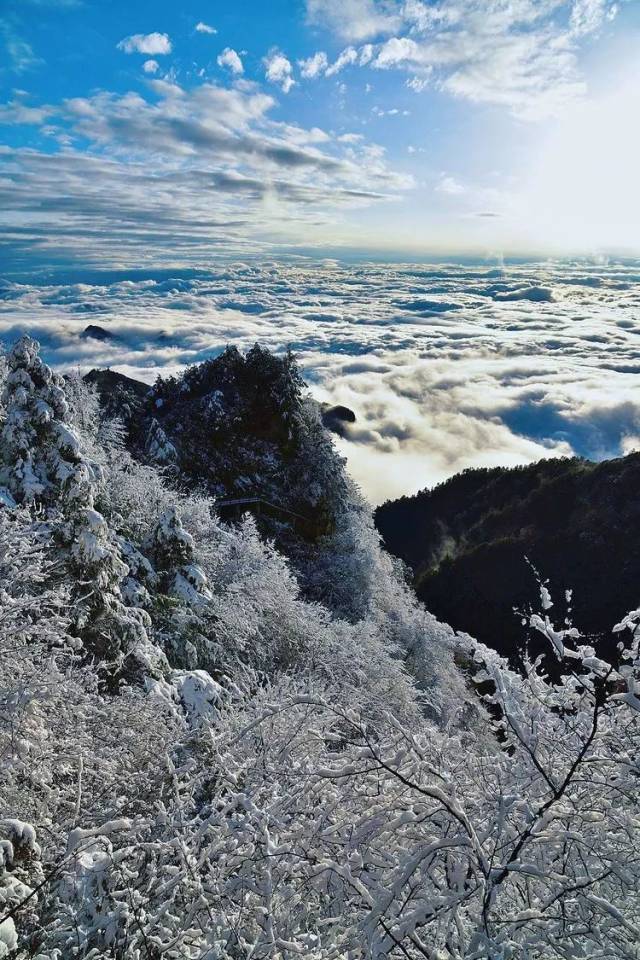 你以为只有八台山有雪吗?达州这个地方也有!