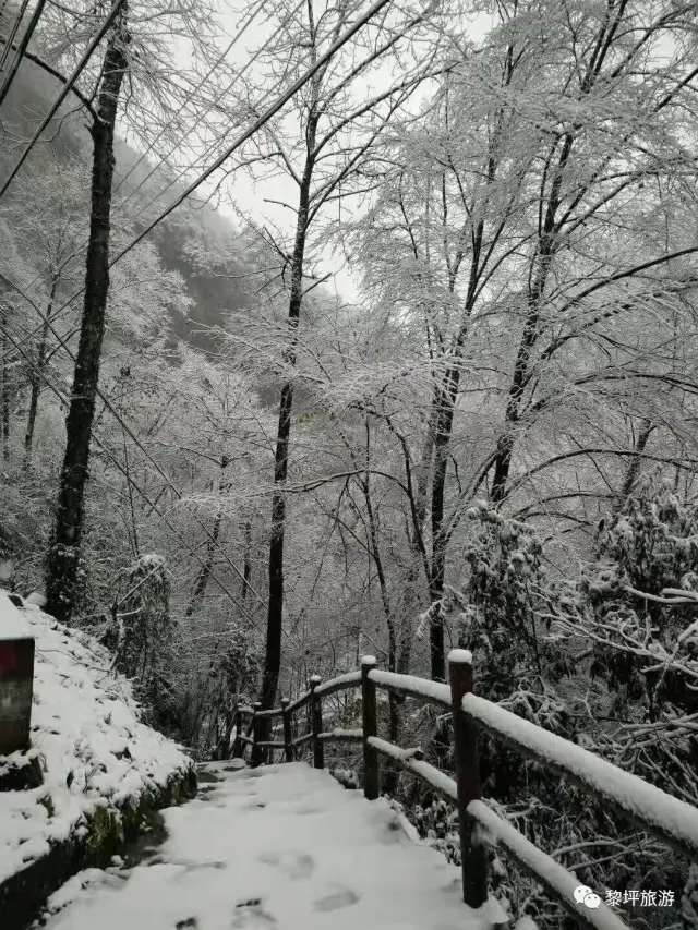 汉中各县雪景大比拼!你最喜欢哪个?