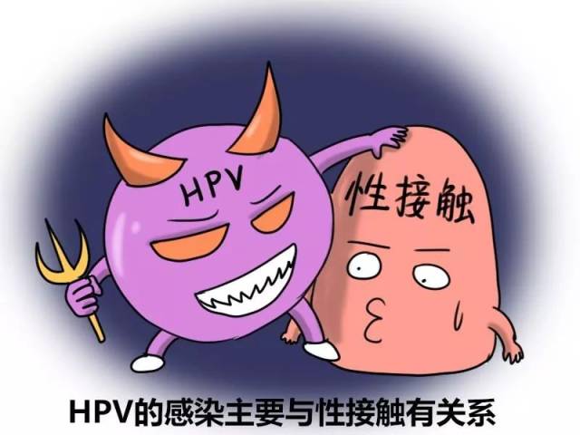 hpv检测报告你读懂了吗?