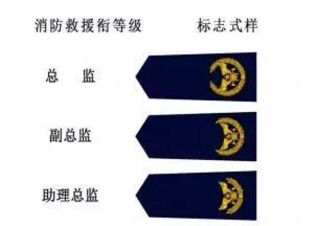 徽标由五角星,雄鹰翅膀,消防斧和消防水带构成; 肩章 指挥长,指挥员衔