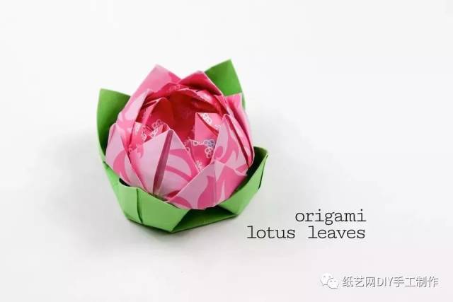 精美荷花折纸!4 种手工教程,等你来试