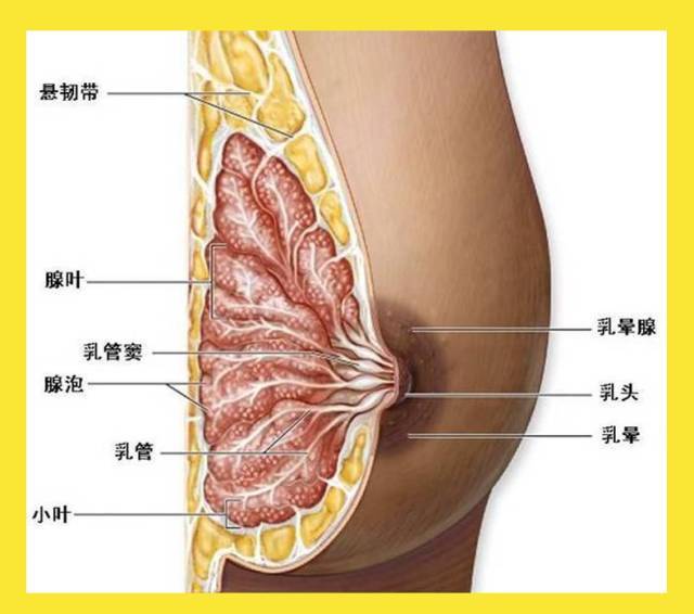 「结构紊乱」