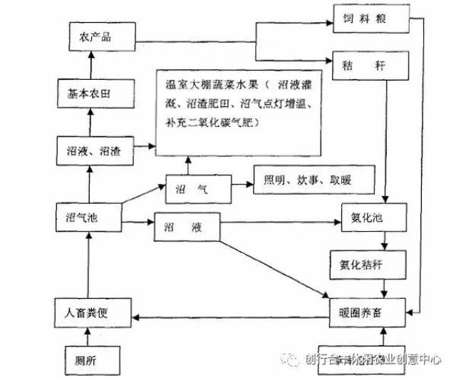 ( )南方"猪—沼—果"生态农业模式