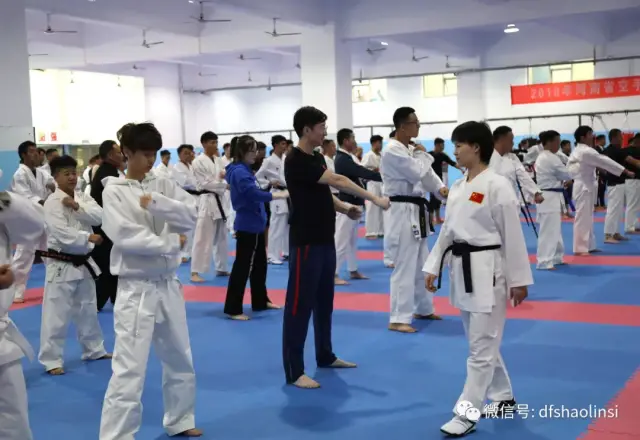 今天,小武要连胜大家一个大消息,2018年河南省空手道教练员,裁判员相扑最高告诉图片