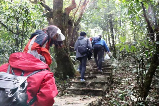 徒步藏在高黎贡山腹地的"睡美人"五道溪 这才叫令人心旷神怡