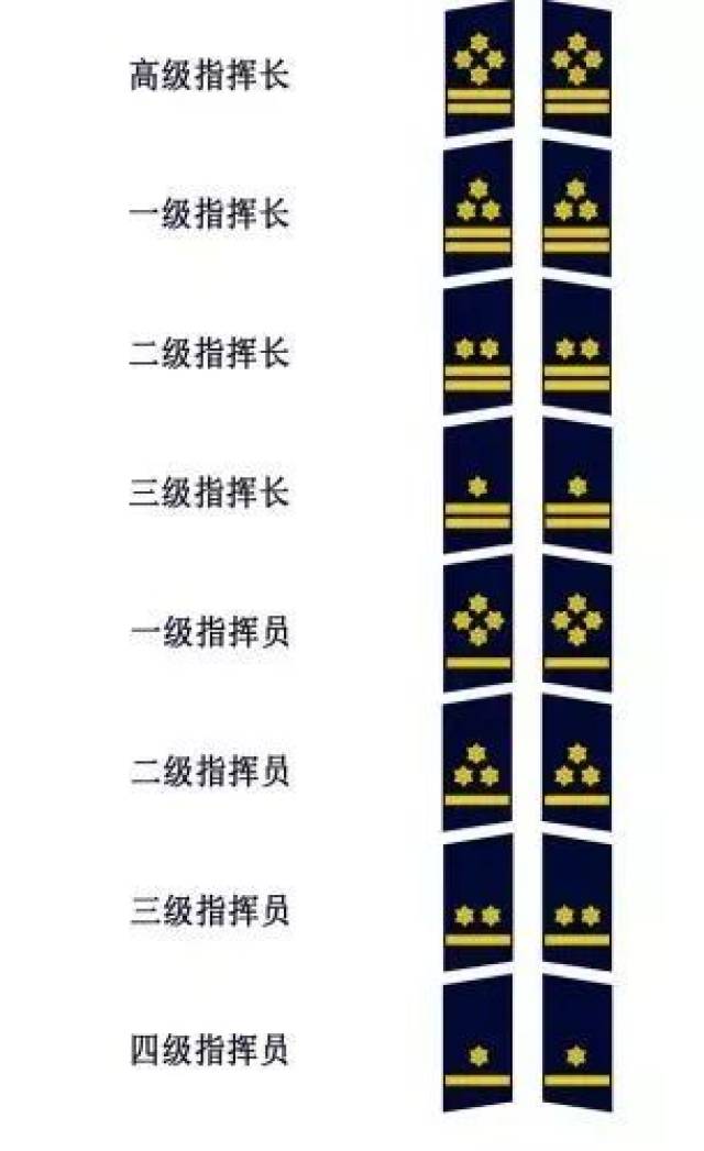 徽标由五角星,雄鹰翅膀,消防斧和消防水带构成; 肩章 指挥长,指挥员衔