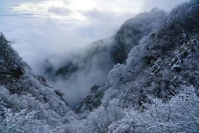 继八台山下雪后, 巴山大峡谷也下雪啦! 小伙伴们! 看雪大队约起来!