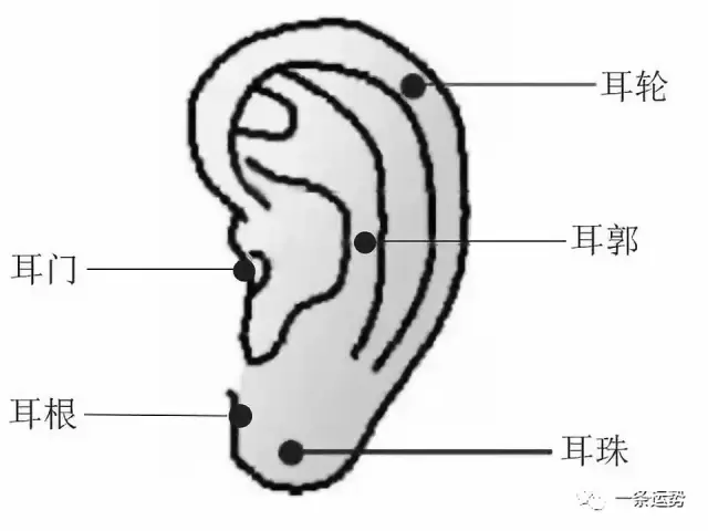 痣相解析:这样的痣相能够爱情事业双丰收