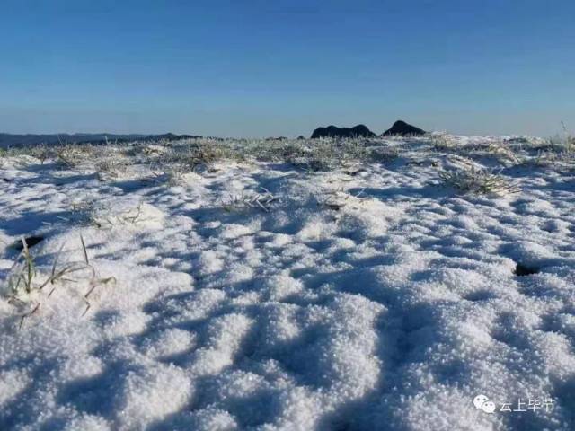 毕节居然下雪了"8102年"的雪来得真早啊,一大波视频美图来袭!