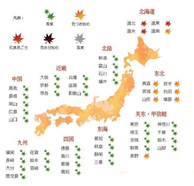 秋天日本旅游去哪玩?秋季日本赏红枫叶旅行攻略