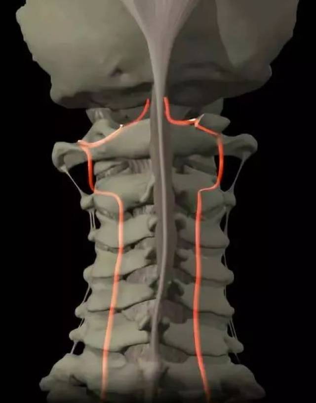 系统详解:颈椎病的临床诊治技巧!