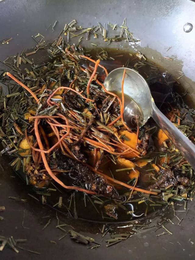 中药能苦到什么程度?把最苦的中药材料结合