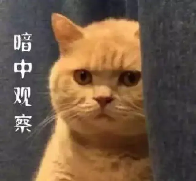 一看就是能成大事者