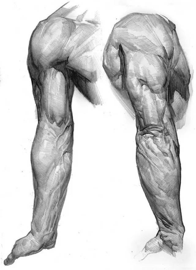 再画出手指结构 男性手臂肌肉结实,饱满,有力量 任何素描都离不开结构