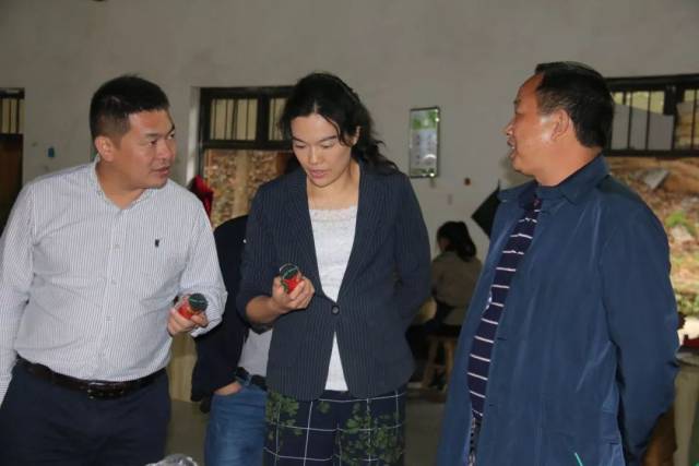 浏阳市政协副主席,市工商联主席刘来宏调研小河乡精准