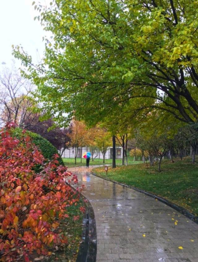 习习凉风吹过,桓台迎来了冬雨