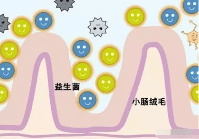 8fd7a89ff3754c96bce27ed9bacf2ee8.jpg