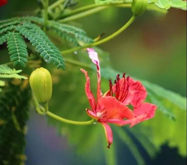 说话不但是一门艺术,更能体现一个人的修养