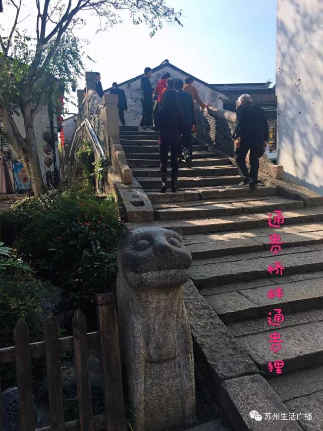 《965阳光地带》带你寻找"山塘七狸"