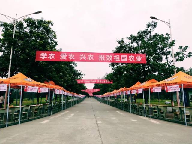 今天上午,南充职业技术学院2019届毕业生双选会