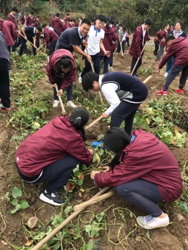 学习不只在课堂,还在田园与远方—记2018文昌高级中学高二社会实践