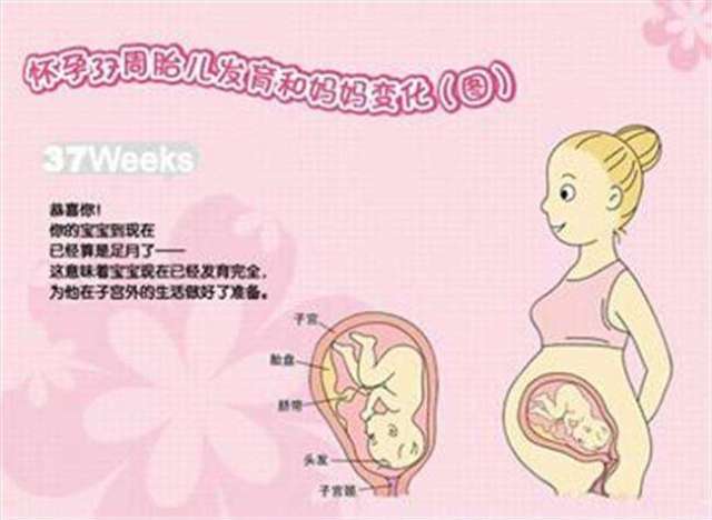 怀孕37周, 胎儿往上顶着孕妇的胃, 逃不开这三种情况