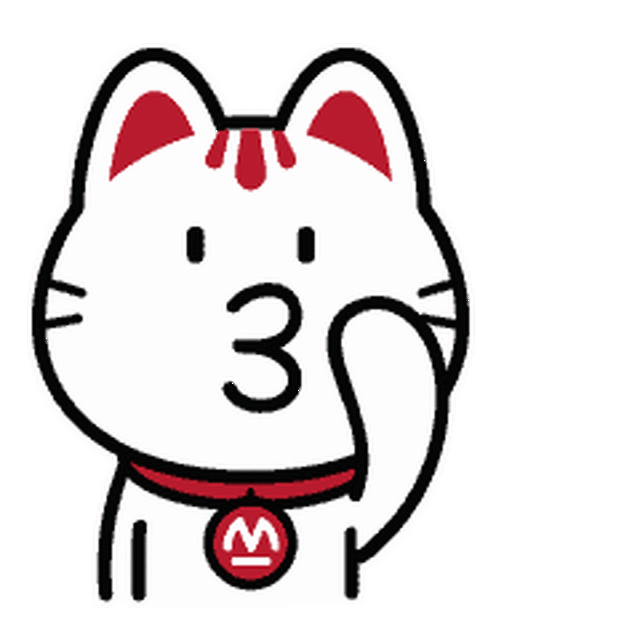 这里竟然有人聚众吸猫!