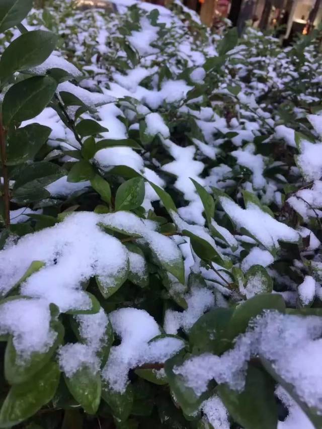 11月8日威宁乡村雪景