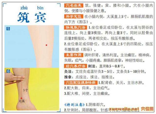 筑宾穴准确位置图功效作用和针刺艾灸按摩推拿法