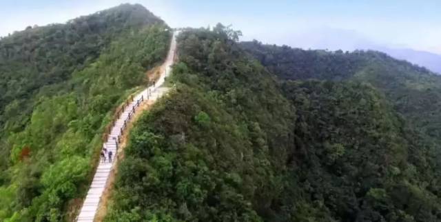 惠东寨场山公园将建成国家级森林公园,年底可投入使用