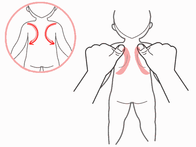 分推肩胛骨(150次)