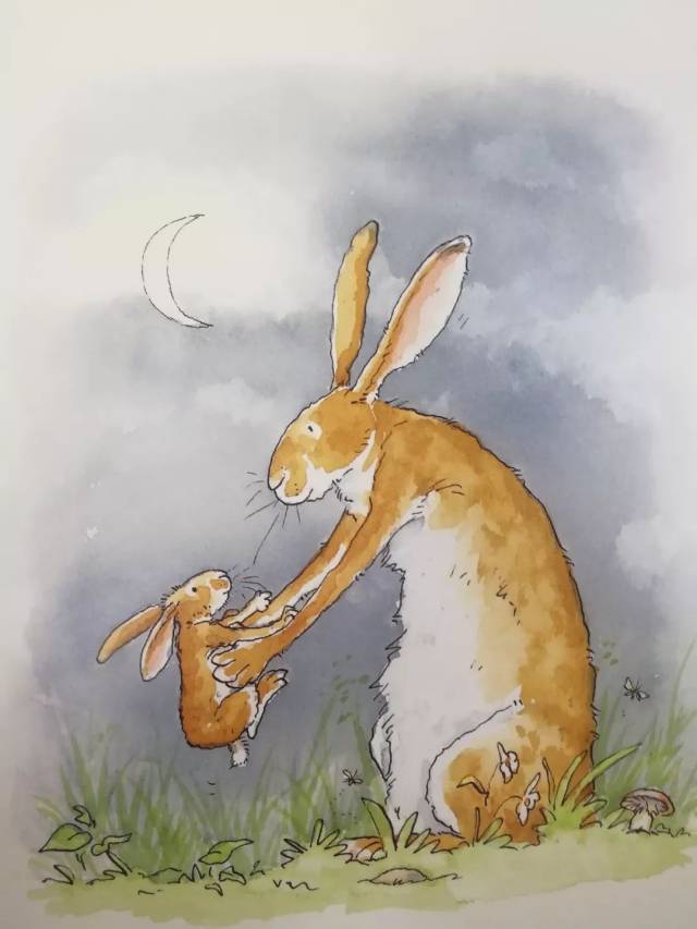 pongo睡前故事』一只大兔子与小兔子的故事:猜猜我有多爱你