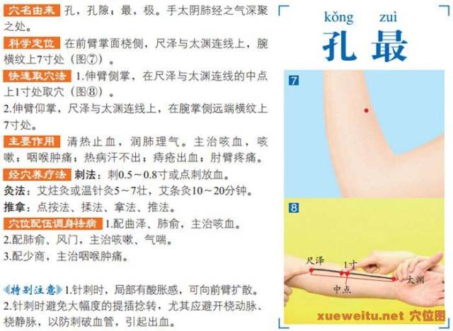 孔最穴准确位置图功效作用和针刺艾灸按摩推拿法_手机